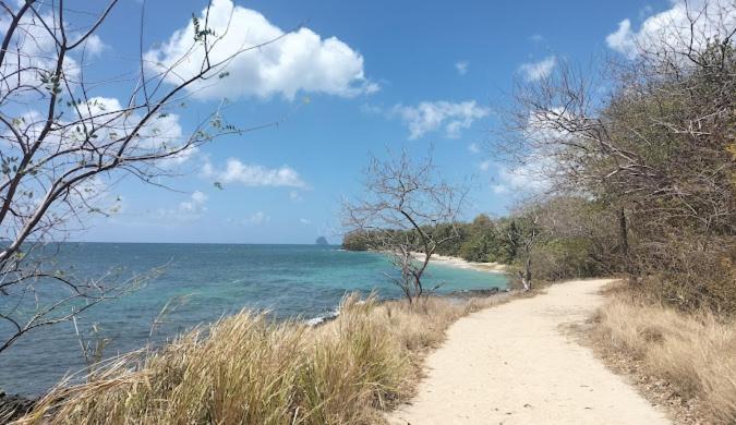 Felix, T2 Acces Plage Gros-Raisins サント・リュス エクステリア 写真