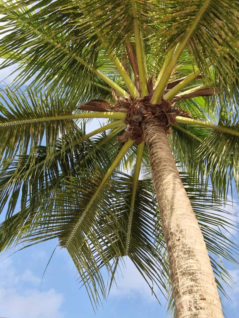 Felix, T2 Acces Plage Gros-Raisins サント・リュス エクステリア 写真